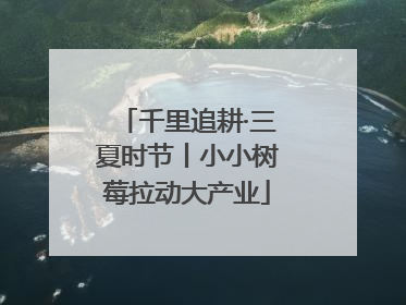 千里追耕·三夏时节丨小小树莓拉动大产业