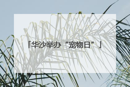 华沙举办“宠物日”