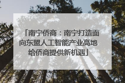 南宁侨商：南宁打造面向东盟人工智能产业高地给侨商提供新机遇