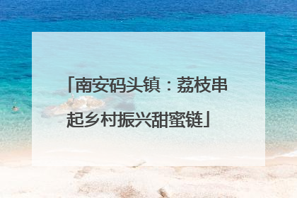 南安码头镇：荔枝串起乡村振兴甜蜜链