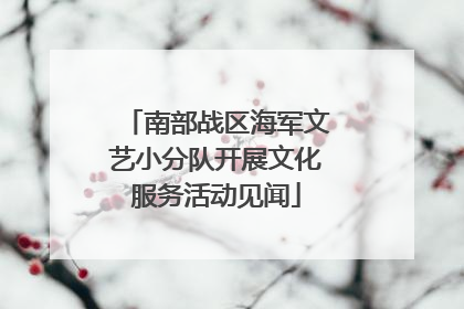 南部战区海军文艺小分队开展文化服务活动见闻
