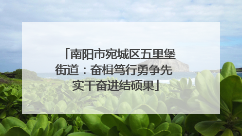 南阳市宛城区五里堡街道：奋楫笃行勇争先 实干奋进结硕果