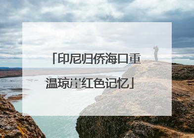 印尼归侨海口重温琼崖红色记忆