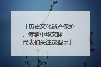 历史文化遗产保护、传承中华文脉……代表们关注这些事