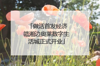 做活首发经济 赣湘边奥莱数字生活城正式开业