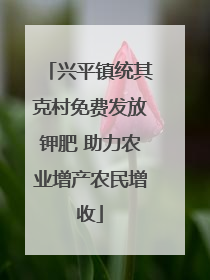 兴平镇统其克村免费发放钾肥 助力农业增产农民增收