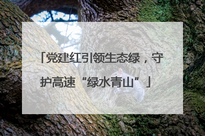 党建红引领生态绿，守护高速“绿水青山”