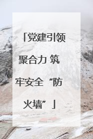 党建引领聚合力 筑牢安全“防火墙”