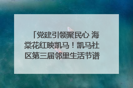 党建引领聚民心 海棠花红映凯马！凯马社区第三届邻里生活节谱写幸福新篇章