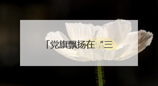 党旗飘扬在“三夏”一线——宛城区溧河街道党群合力筑牢禁烧防线