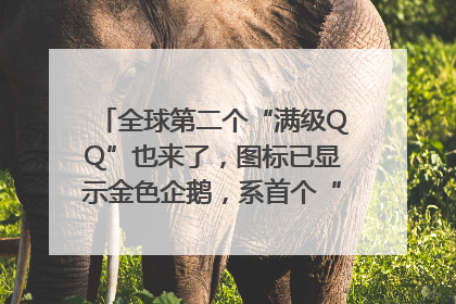 全球第二个“满级QQ”也来了，图标已显示金色企鹅，系首个“满级QQ”的小号