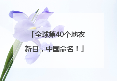 全球第40个地衣新目，中国命名！