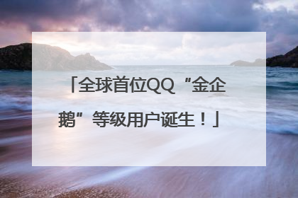 全球首位QQ“金企鹅”等级用户诞生！