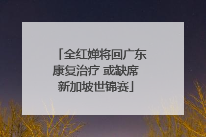 全红婵将回广东康复治疗 或缺席新加坡世锦赛