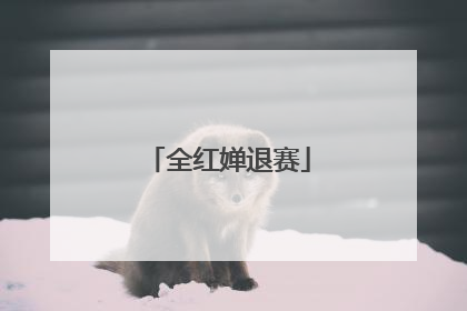 全红婵退赛