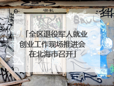 全区退役军人就业创业工作现场推进会在北海市召开