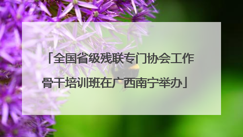 全国省级残联专门协会工作骨干培训班在广西南宁举办