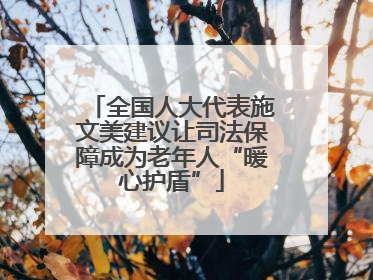 全国人大代表施文美建议让司法保障成为老年人“暖心护盾”