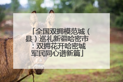 全国双拥模范城（县）巡礼新疆哈密市：双拥花开哈密城 军民同心谱新篇