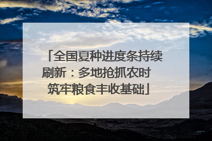 全国夏种进度条持续刷新：多地抢抓农时 筑牢粮食丰收基础