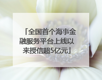 全国首个海事金融服务平台上线以来授信超5亿元