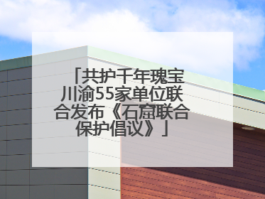 共护千年瑰宝 川渝55家单位联合发布《石窟联合保护倡议》