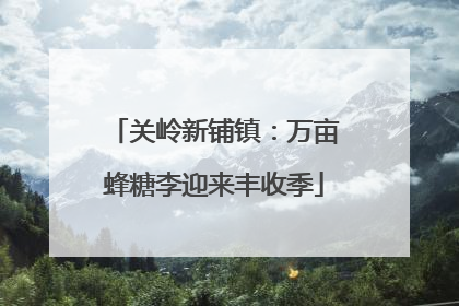 关岭新铺镇：万亩蜂糖李迎来丰收季