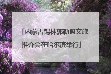 内蒙古锡林郭勒盟文旅推介会在哈尔滨举行