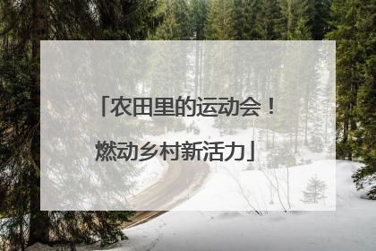农田里的运动会！燃动乡村新活力