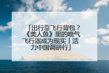 出行靠飞行背包？《美人鱼》里的喷气飞行器成为现实丨活力中国调研行