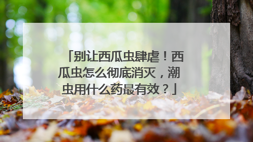 别让西瓜虫肆虐！西瓜虫怎么彻底消灭，潮虫用什么药最有效？