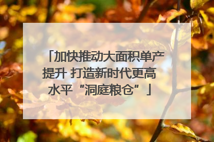 加快推动大面积单产提升 打造新时代更高水平“洞庭粮仓”