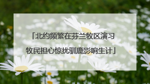 北约频繁在芬兰牧区演习 牧民担心惊扰驯鹿影响生计