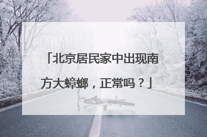 北京居民家中出现南方大蟑螂，正常吗？