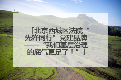 北京西城区法院“先锋同行”党建品牌——“我们基层治理的底气更足了！”