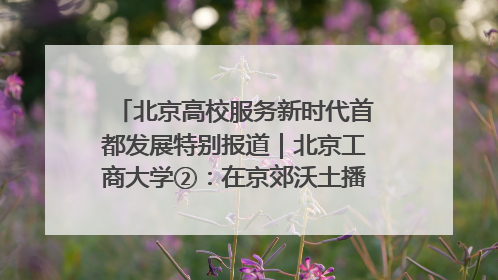 北京高校服务新时代首都发展特别报道｜北京工商大学②：在京郊沃土播撒科技创新的种子