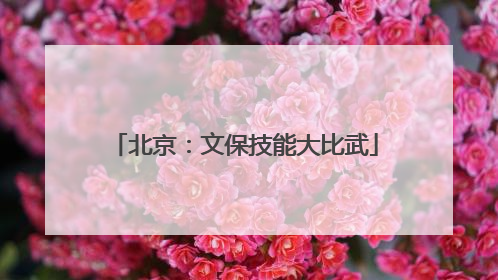 北京：文保技能大比武