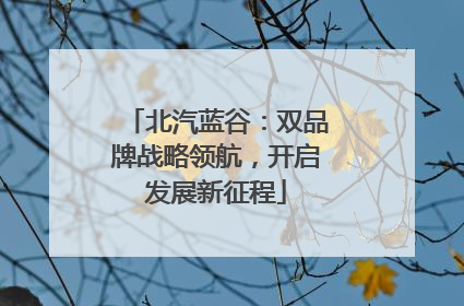 北汽蓝谷：双品牌战略领航，开启发展新征程