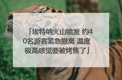 埃特纳火山喷发 约40名游客紧急撤离 温度极高感觉要被烤焦了