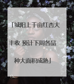 城阳上千亩红杏大丰收 预计下周各品种大面积成熟