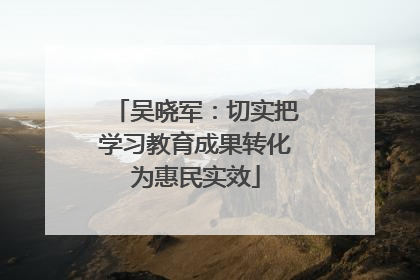 吴晓军：切实把学习教育成果转化为惠民实效