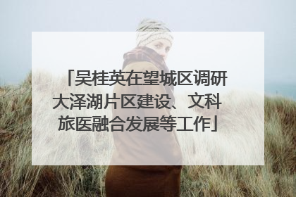 吴桂英在望城区调研大泽湖片区建设、文科旅医融合发展等工作