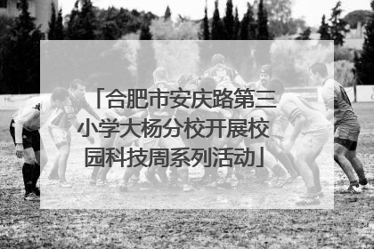 合肥市安庆路第三小学大杨分校开展校园科技周系列活动