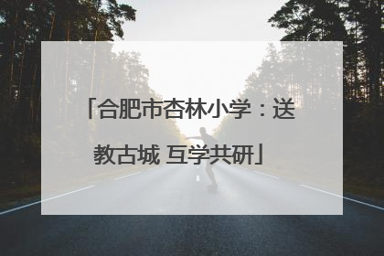 合肥市杏林小学：送教古城 互学共研