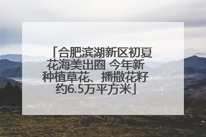 合肥滨湖新区初夏花海美出圈 今年新种植草花、播撒花籽约6.5万平方米
