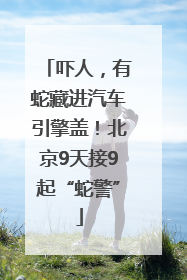吓人，有蛇藏进汽车引擎盖！北京9天接9起“蛇警”