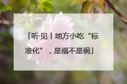 听·见丨地方小吃“标准化”，是福不是祸