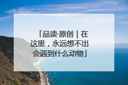 品读·原创｜在这里，永远想不出会遇到什么动物