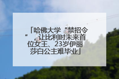 哈佛大学“禁招令”，让比利时未来首位女王、23岁伊丽莎白公主难毕业