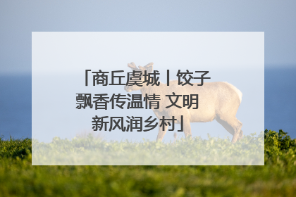 商丘虞城丨饺子飘香传温情 文明新风润乡村